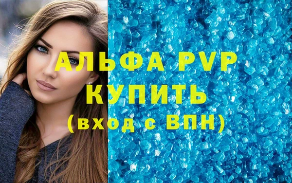 прущие грибы Михайлов