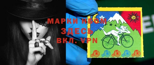 прущие грибы Михайлов