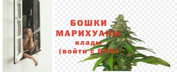 шишки Михайловка