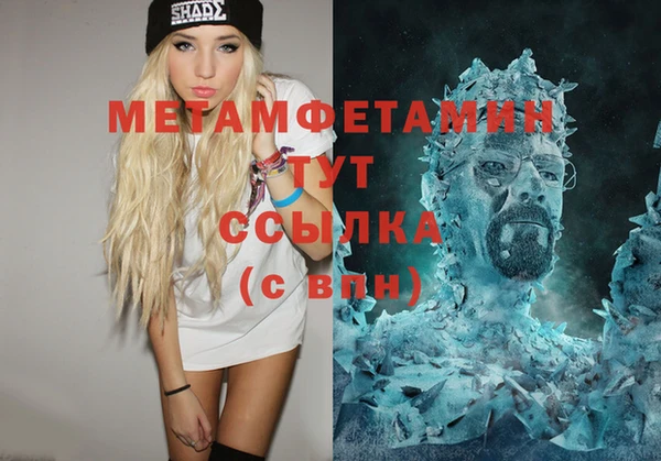 прущие грибы Михайлов
