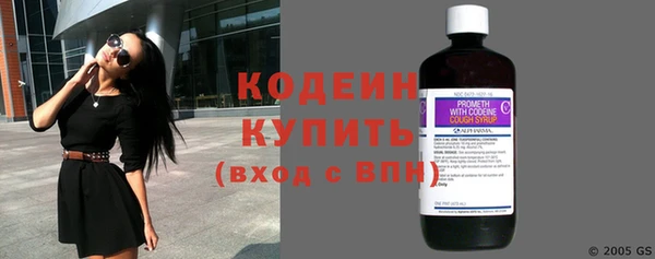 шишки Михайловка