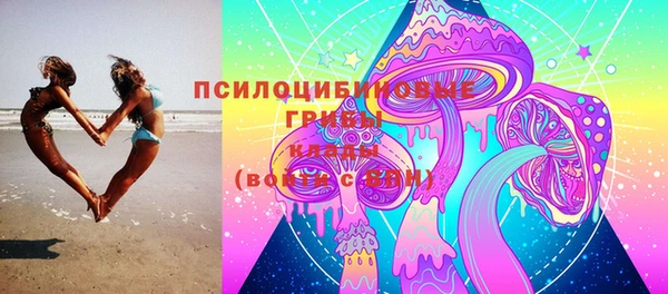 шишки Михайловка