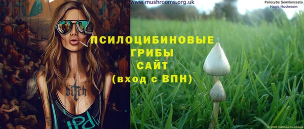 шишки Михайловка