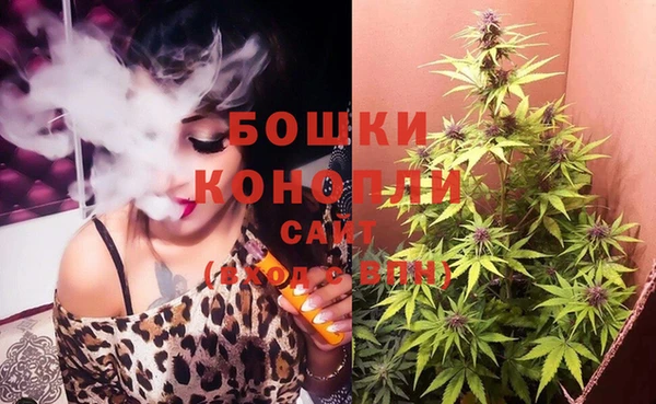шишки Михайловка