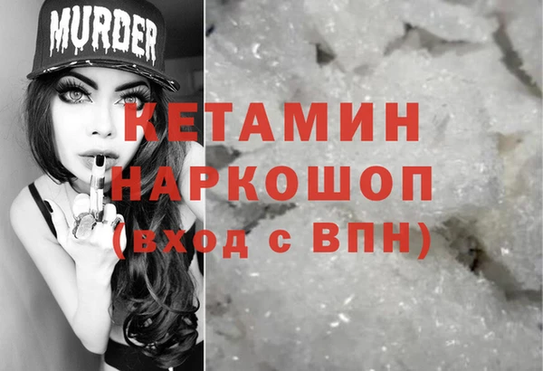 прущие грибы Михайлов