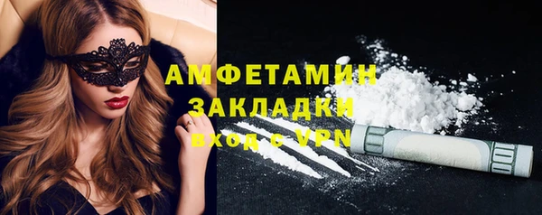 прущие грибы Михайлов