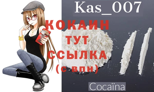 шишки Михайловка